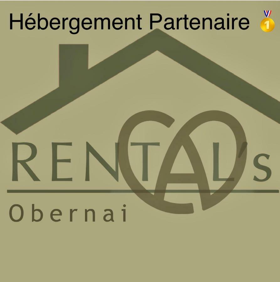 Ferienwohnung Le Relais D Obernai Exterior foto